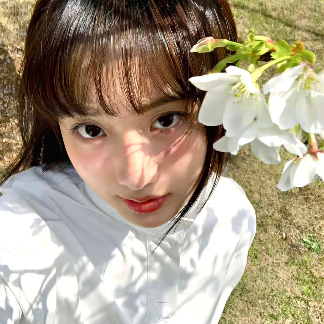 笼中格斗王第一季